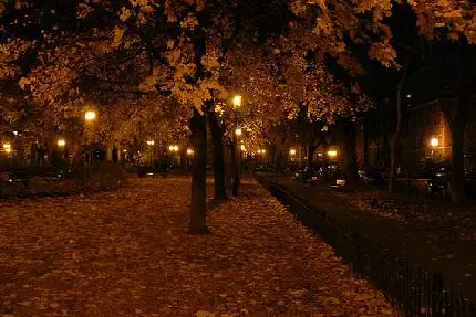 عکس برای پروفایل شب یلدا