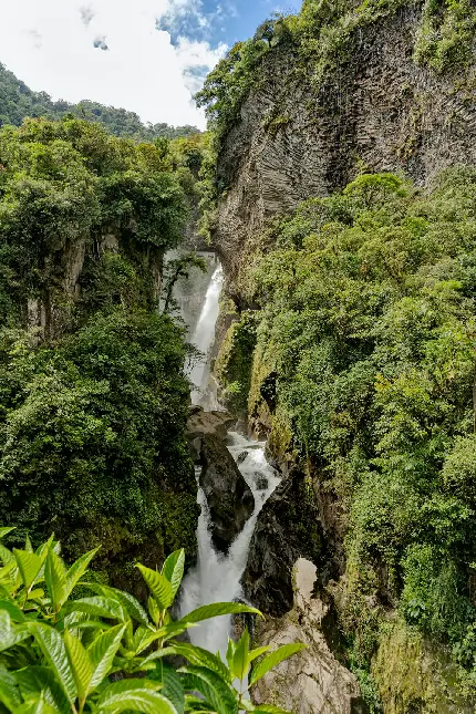 والپیپر آبشارهای حیرت انگیز جنگل‌های بارانی آمازون