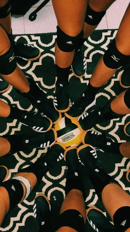 عکس والیبال فانتزی