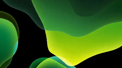 تصویر پس زمینه سبز رنگ برای ویندوز 11 با کیفیت 4K و Full HD