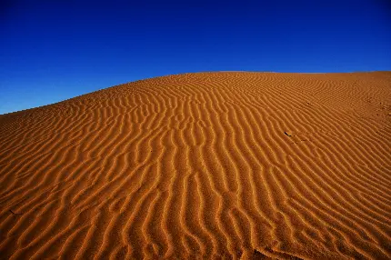 عکس از صحرای داغ و آسمانی آبی برای بک گراند ویندوز و دسکتاپ
