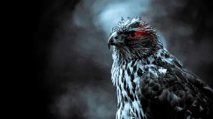 تصویر زمینه عقاب سیاه مار خور ماداگاسکاری با کیفیت 4K