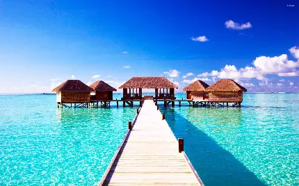 عکس جالب جزیره مالدیو