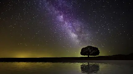 دانلود تصویر زمینه از تک درخت دریا با آسمان و کهکشان