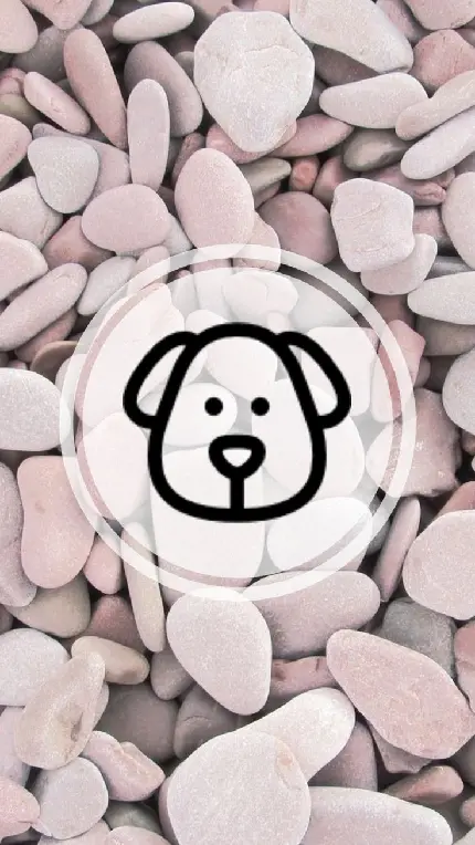 عکس مینیمال چهره