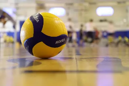 عکس والیبال برای پروفایل پسرانه