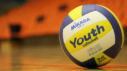 عکس والیبال فانتزی