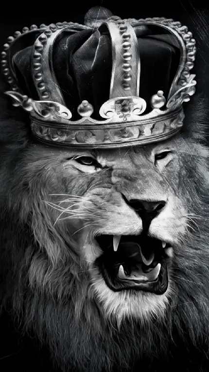  عکس پروفایل سیاه و سفید از شیر و تاج