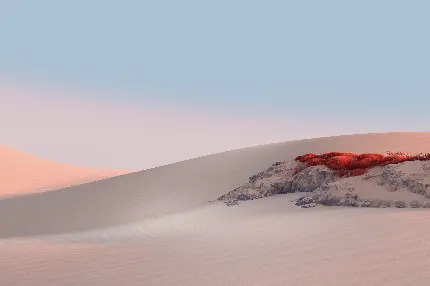 عکس و والپیپر از شن های صحرا برای بک گراند ویندوز و کامپیوتر
