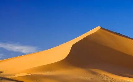 تصویر زمینه صحرا برای ویندوز 11 با کیفیت بالا