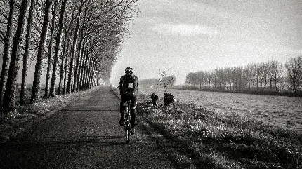 عکس سیاه و سفید و تصویر زمینه از دوچرخه سواری در طبیعت 