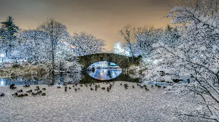 عکس زیبای زمستان از پل دیدنی پارک مرکزی نیویورک با بهترین کیفیت