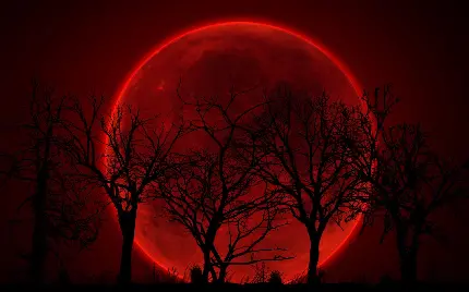 عکس ماه قرمز از نمایی نزدیک