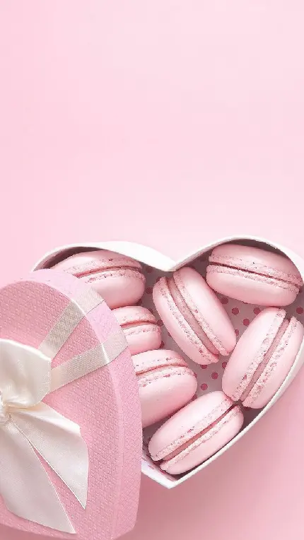 بک گراند صورتی ملایم