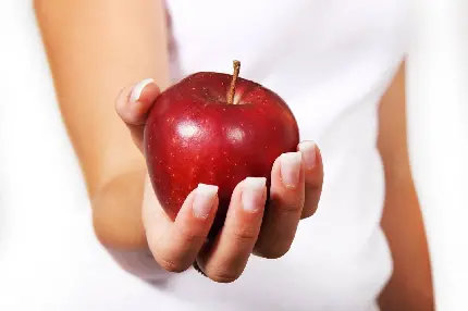 تصویر زمینه سیب سرخ درشت و آبدار در دست با کیفیت بالا