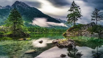 بهترین تصویر زمینه از کوه ، درخت و دریا برای ویندوز 11 با کیفیت 4K