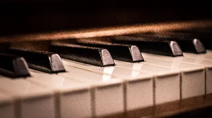 واپیپر زیبا از کلید های سیاه و سفید پیانو با کیفیت عالی