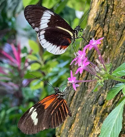 عکس دارک غمگین