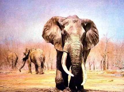 عکس و تصویر زمینه فیل واقعی و وحشی با کیفیت بالا