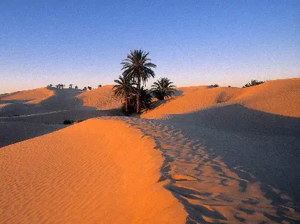 پس زمینه desert و صحرا برای والپیپر