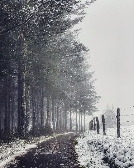 تصویر زمینه زمستانی برای کامپیوتر با کیفیت HD