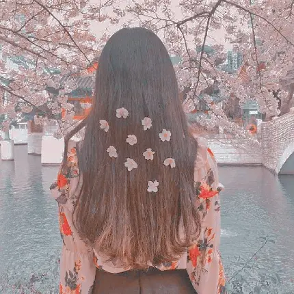 عکس پروفایل شکوفه های گیلاس بر روی موهای دختر کره ای