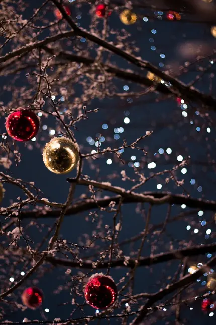 عکس درخت برفی کریسمس برای پروفایل با عالی ترین کیفیت