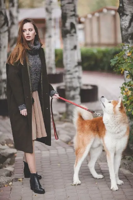 عکس پروفایل دخترونه لاکچری با سگ با کیفیت فوق العاده