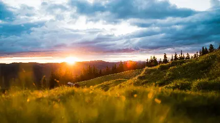 تصویر زمینه طلوع زیبای خورشید در فصل بهار با کیفیت 4K