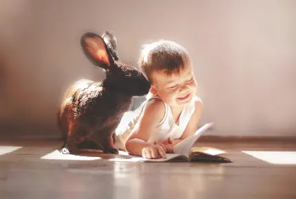 عکس کیوت بچه در کنار خرگوش با کیفیت بالا