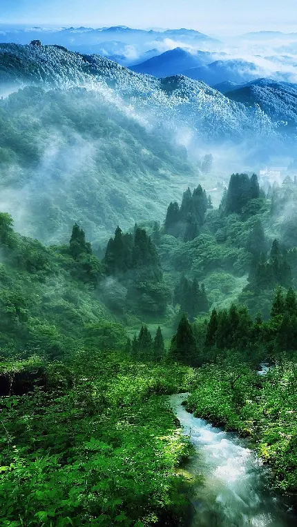 والپیپر رودخانه ی زیبا در جنگل مه گرفته با کیفیت عالی