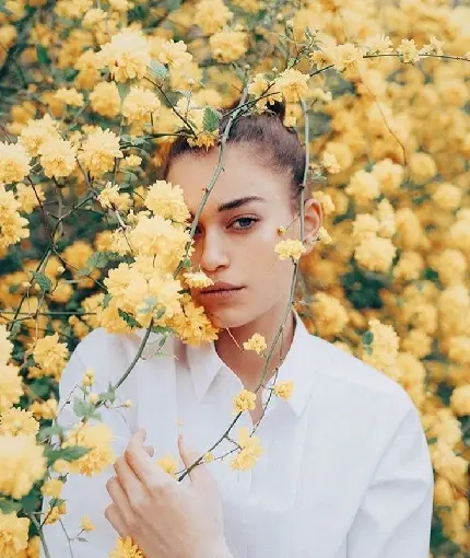 عکس دختر زیبا در میان گل‌های زرد رنگ برای پروفایل تلگرام