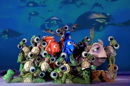 والپیپر انیمیشن در جستجوی نمو Finding Nemo با کیفیت فوق العاده