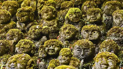 عکس مجسمه های سنگی معبد آداشینو ننبوتسا در کشور ژاپن