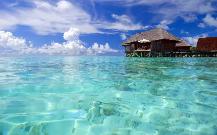 عکس پس زمینه جزیره مالدیو