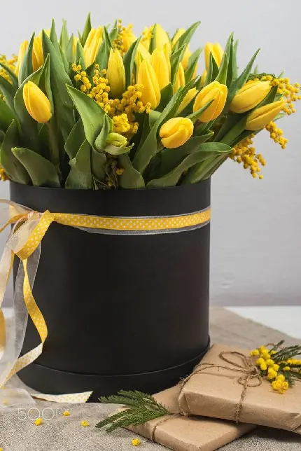 بک گراند با کیفیت باکس گل های زرد با کیفیت عالی