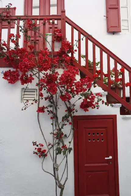 تصویر زمینه جذاب و دیدنی از خانه ی رویایی با دیزاین قرمز