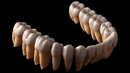 عکس مولاژ دندان با کیفیت بالا برای پروفایل در روز دندانپزشک