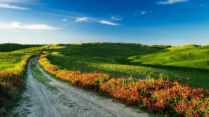 عکس زیبای منطقه توسکانی در کشور ایتالیا برای بک گراند ویندوز
