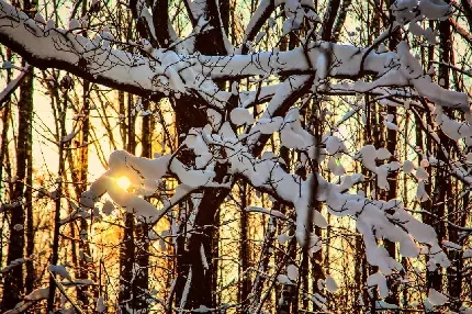 عکس پروفایل طبیعت زمستان با بهترین کیفیت برای خاص پسندان