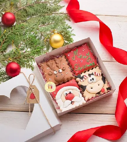 عکس کریسمس واقعی