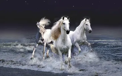 عکس اسب سفید زیبا با کیفیت بالا