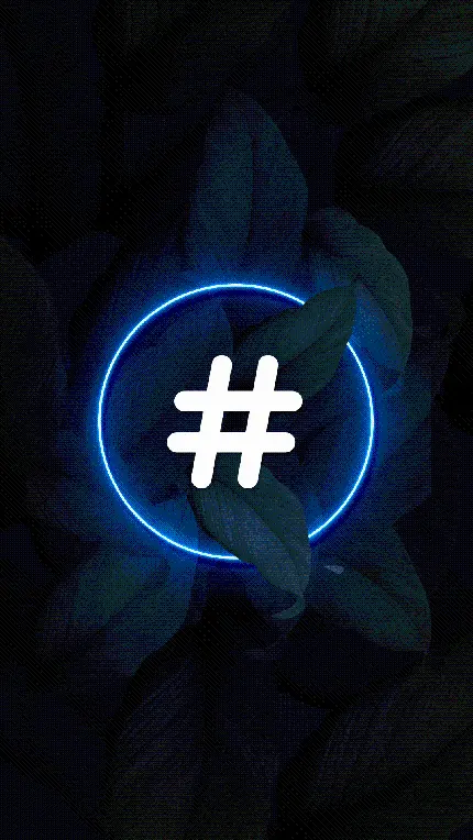 کاور هایلایت اینستاگرام مشکی