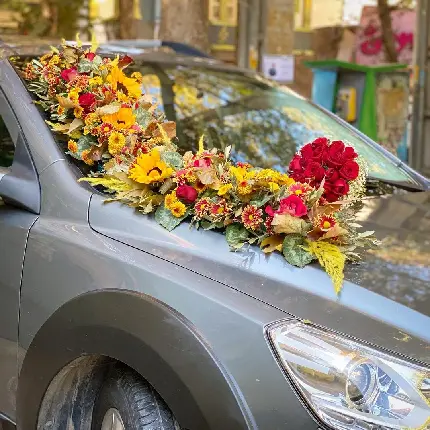 عکس زیبای ماشین عروس لوکس و لاکچری ایرانی