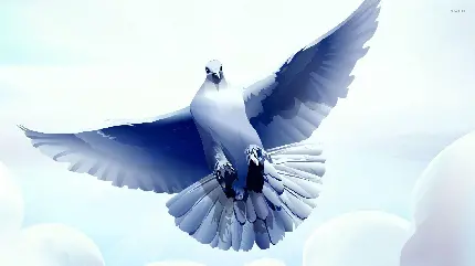عکس کبوتر نقاشی درحال پرواز