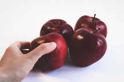 عکس سیب های سرخ تیره در دست با کیفیت بالا برای پروفایل