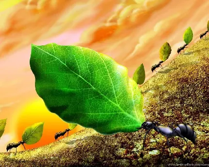 عکس نقاشی مورچه