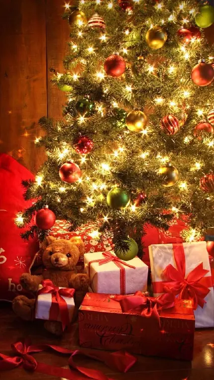 عکس کریسمس در ایران