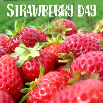 عکس نوشته روز توت فرنگی Strawberry Day با کیفیت عالی