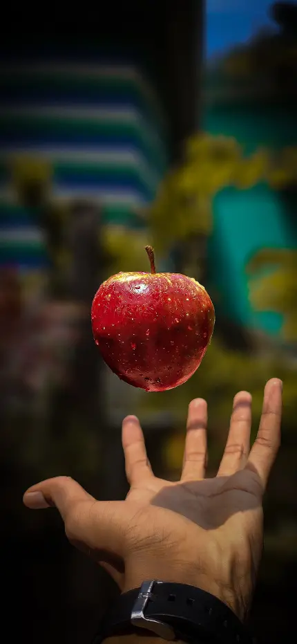 والپیپر فول اچ دی سیب سرخ پرتاب شده به هوا برای گوشی